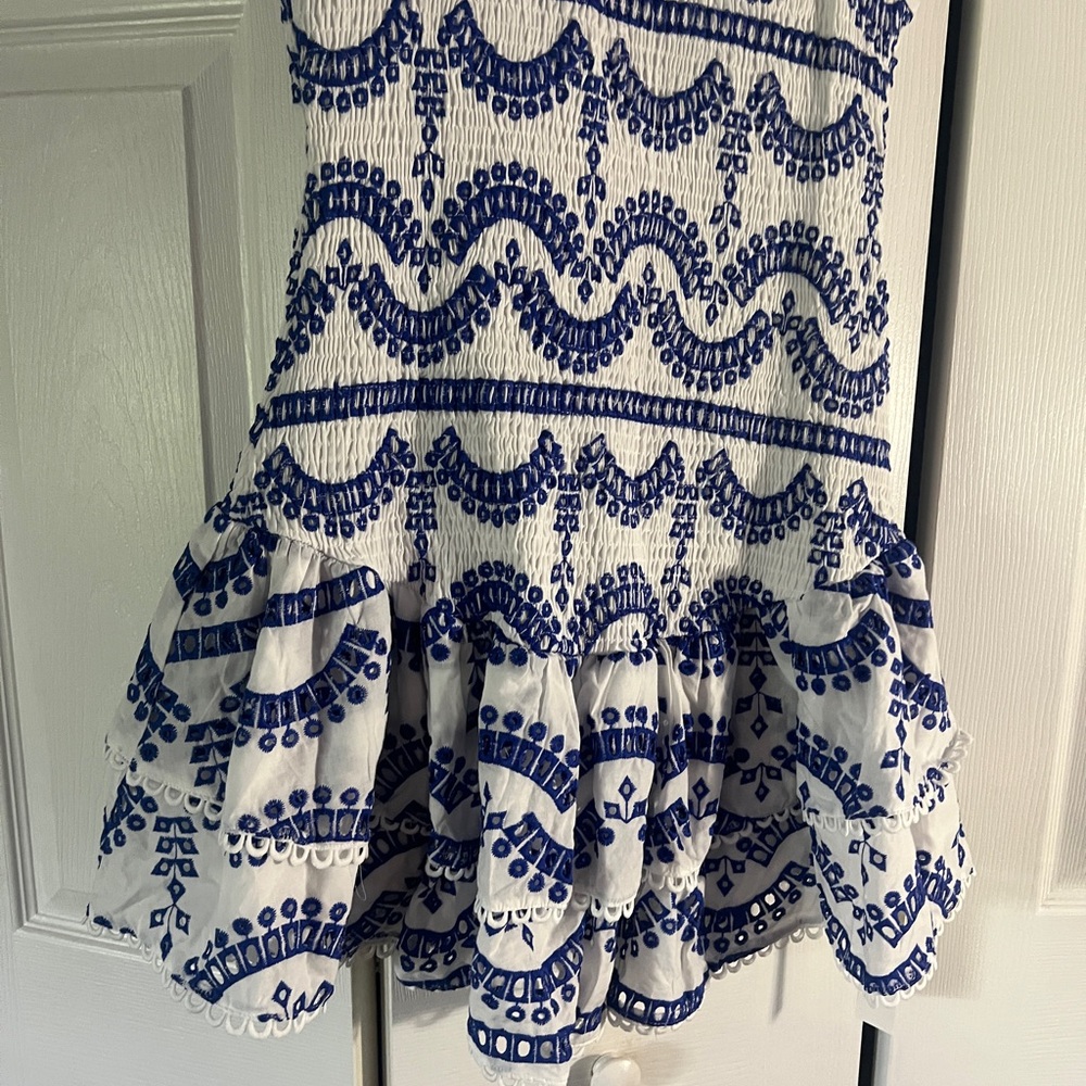 Embroidered Ruffled Sleeveless Dress - Picture 7 of 16